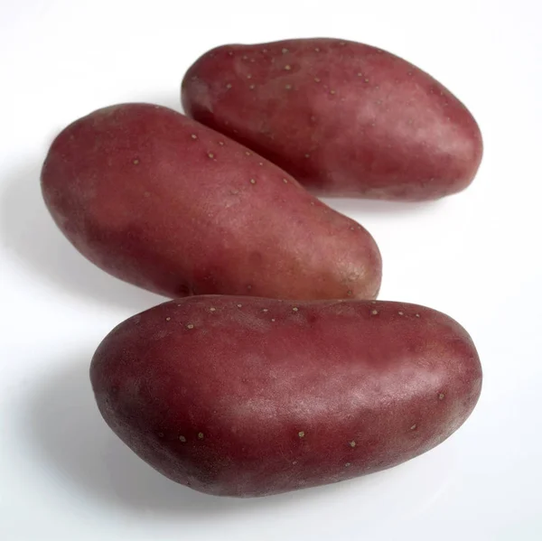 Roseval Potato Solanum Tuberosum Gemüse Vor Weißem Hintergrund — Stockfoto