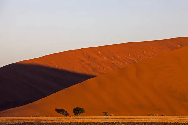 Namib Desert Namib Naukluft Park Sossusvlei Duinen Namibië — Stockfoto