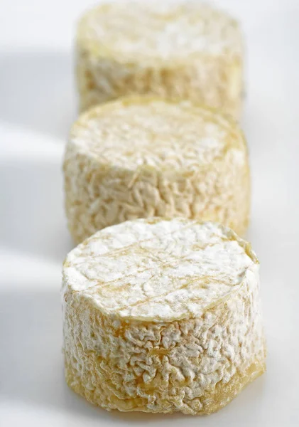 Crottin Adında Fransız Peyniri Keçi Sütünden Yapılmış Peynir — Stok fotoğraf