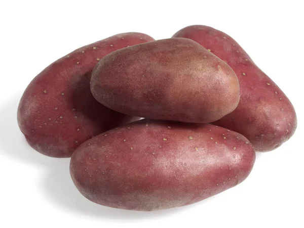 Roseval Potato Solanum Tuberosum Gemüse Vor Weißem Hintergrund — Stockfoto