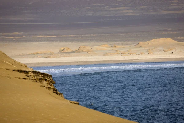 Deserto Oceano Paisagem Parque Nacional Paracas Peru — Fotografia de Stock