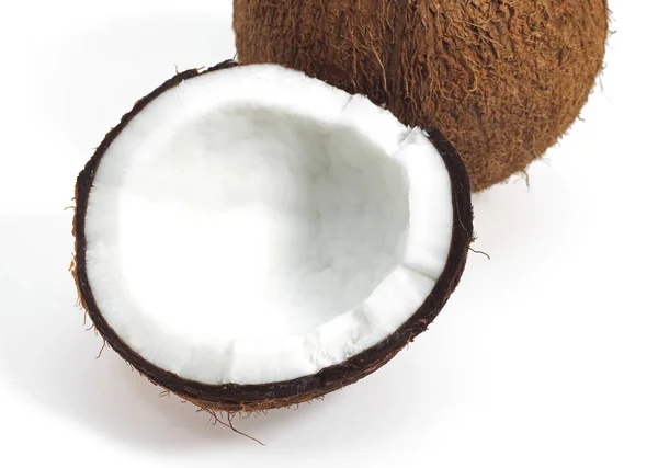 Coco Cocos Nucifera Fruta Contra Fondo Blanco —  Fotos de Stock