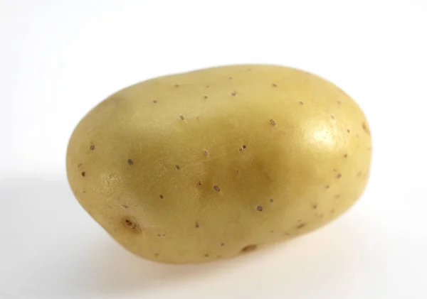 Mona Lisa Potato Solanum Tuberosum Vegetable White Background — Stock Photo, Image