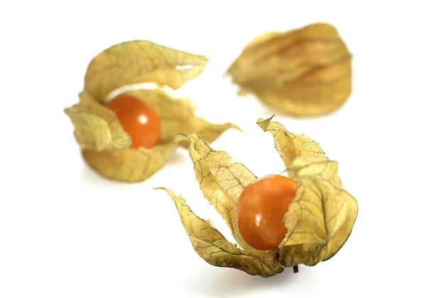 Chinese Lantern Fruit Physalis Alkekengi Фрукты Белом Фоне — стоковое фото