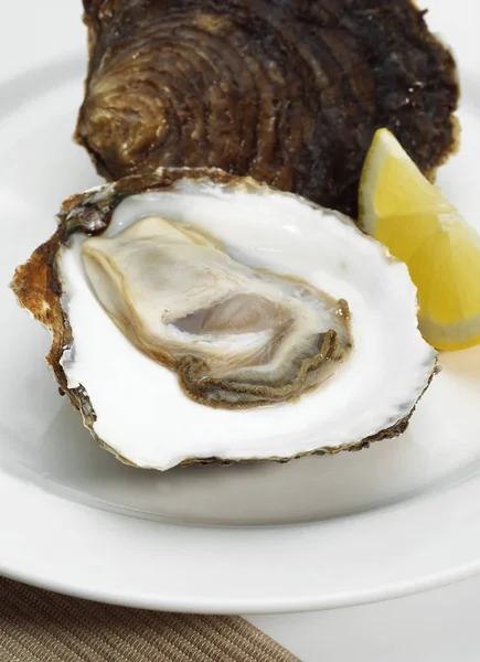 French Oyster Called Plate Belon Ostrea Edulis Seafoods Lemon Plate — Stock Photo, Image
