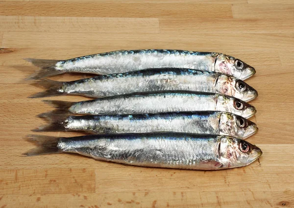 Sardine Sardina Pilchardus Fresh Fishes — стокове фото