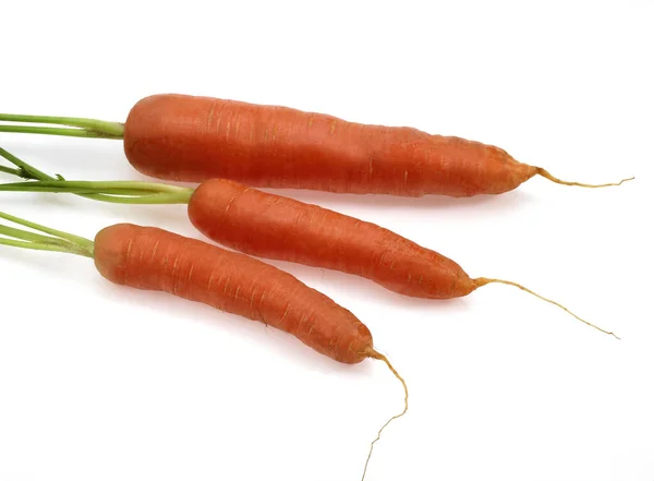 ニンジン ダウカスカロタ 白を背景にした野菜 — ストック写真