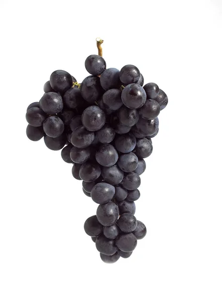黒マスカットブドウ ビティスビニフェラ 白を背景にした果物 — ストック写真