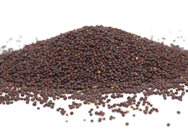 Black Mustard Seeds Sinapis Nigra Dry Seeds White Background — Stock Photo, Image