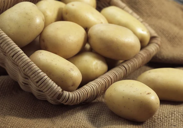 Mona Lisa Potato Solanum Tuberosum Warzywa Koszyku — Zdjęcie stockowe