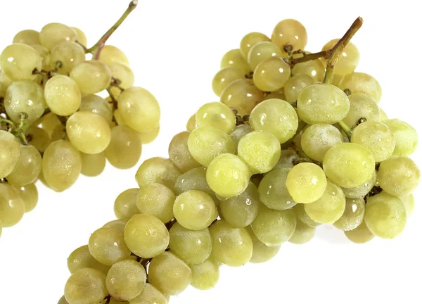 White Grape Vitis Vinifera Fruit White Background — стокове фото