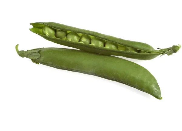 庭のエンドウ豆 ナスのサティビウム 白い背景を持つ野菜 — ストック写真