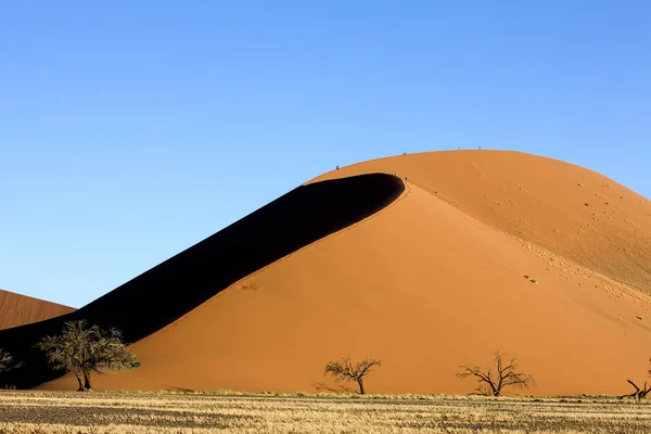 Namib Desert Namib Naukluft Park Sossusvlei Dunes Dune Namibia — Stockfoto