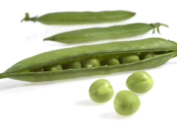 Guisantes Jardín Pisum Sativum Vegetal Contra Fondo Blanco — Foto de Stock