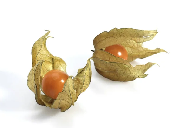 Čínské Lucerny Ovoce Physalis Alkekengi Ovoce Proti Bílému Pozadí — Stock fotografie