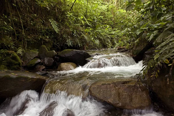 Vízesések Manu Nemzeti Parkban Peruban — Stock Fotó