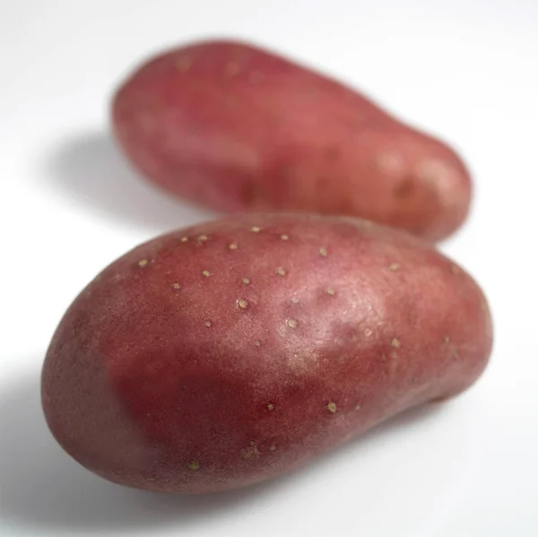 Roseval Potato Solanum Tuberosum Gemüse Vor Weißem Hintergrund — Stockfoto