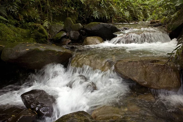 Vízesések Manu Nemzeti Parkban Peruban — Stock Fotó