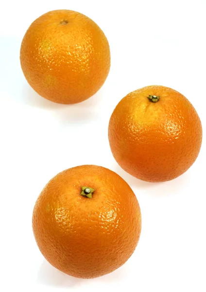 オレンジ 柑橘類のシネンシス 白を背景にした果実 — ストック写真