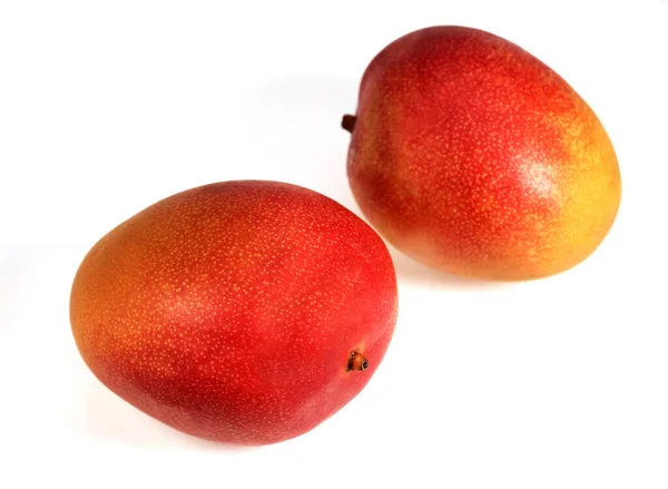 Mango Mangifera Indica Frutas Contra Fondo Blanco — Foto de Stock