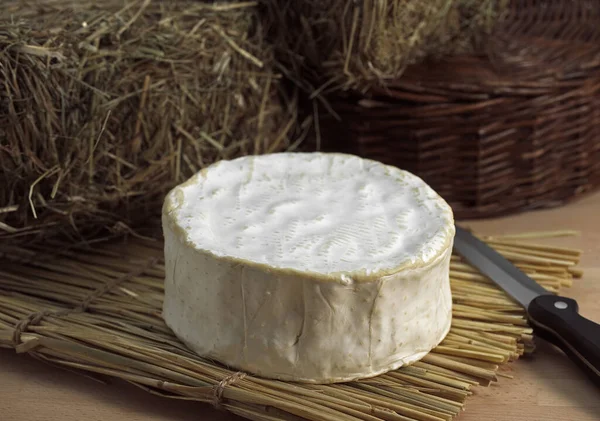 Brillat Savarin Francouzský Sýr Kravským Mlékem — Stock fotografie