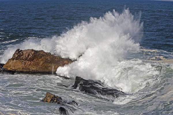 Hullámok Part Hermanus Dél Afrikában — Stock Fotó