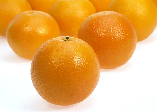 Orange Citrus Sinensis Fruits White Background — Stock Photo, Image