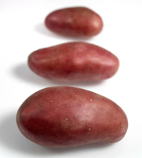 Roseval Potato Solanum Tuberosum Vegetables White Background — Stock Photo, Image