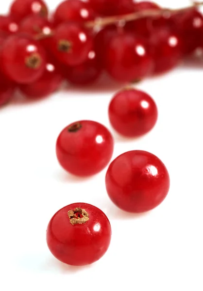 Rote Johannisbeeren Ribes Rubrum Früchte Vor Weißem Hintergrund — Stockfoto