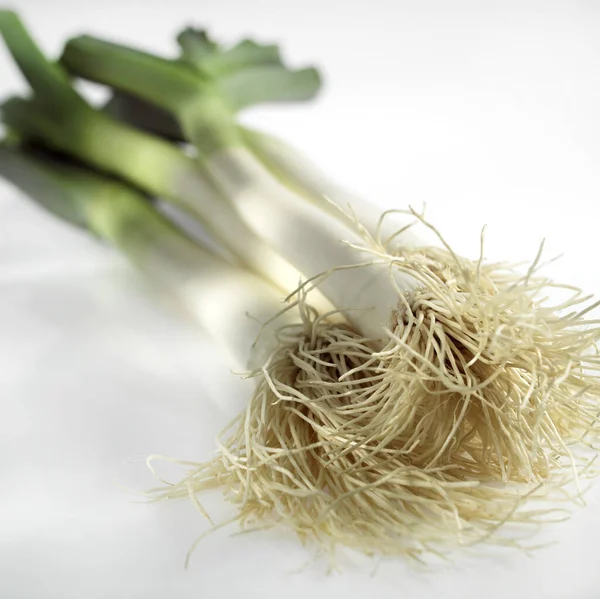Puerro Allium Porrum Verduras Contra Fondo Blanco — Foto de Stock