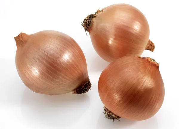 Zwiebel Allium Cepa Vor Weißem Hintergrund — Stockfoto