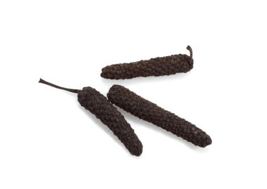 Uzun Biber, kavalcı uzun sakız, Böğürtlenlere karşı Beyaz Arkaplan  