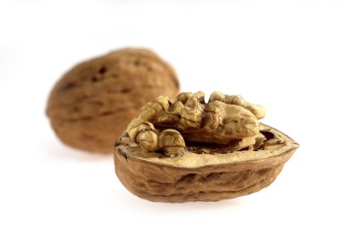 Walnut, juglans regia, Dry Fruit, White Background 'a karşı  