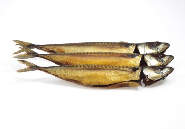 Tütsülenmiş uskumru, scomber scombrus, Balıklar beyaz arka plana karşı  