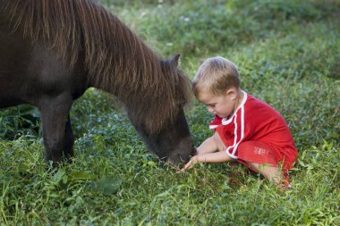 Falabella Pony 'li çocuk, Normandiya  
