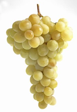 Beyaz üzüm, vitis vinifera, meyveye karşı beyaz arkaplan  