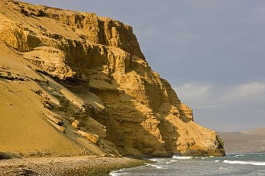 Paracas Ulusal Parkı, Peru  