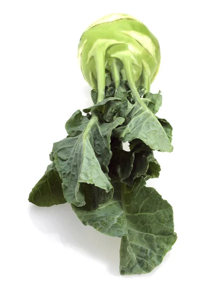 Kohlrabi Brassica Oleracea Verdura Sfondo Bianco — Foto Stock