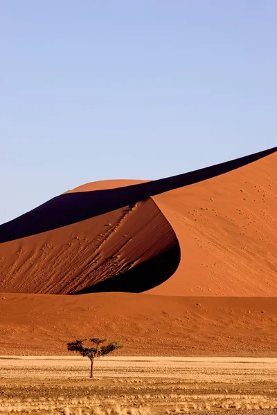 Namib Sivatag Namib Naukluft Park Sossusvlei Dunes Namíbiában — Stock Fotó
