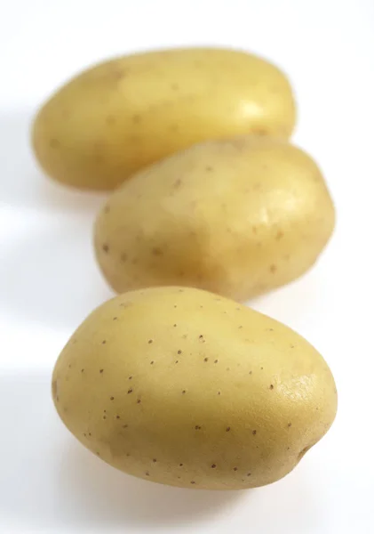 Mona Lisa Potato Solanum Tuberosum Овощи Белом Фоне — стоковое фото