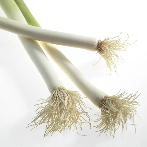 Puerro Allium Porrum Verduras Contra Fondo Blanco — Foto de Stock