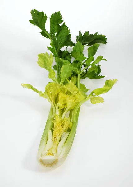 Seler Apium Graveolens Dulce Warzywa Białym Tle — Zdjęcie stockowe