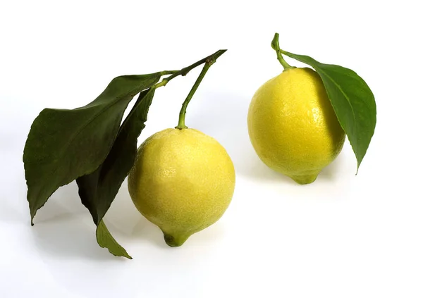 黄色レモン 柑橘類のライム 白を背景にした果物 — ストック写真