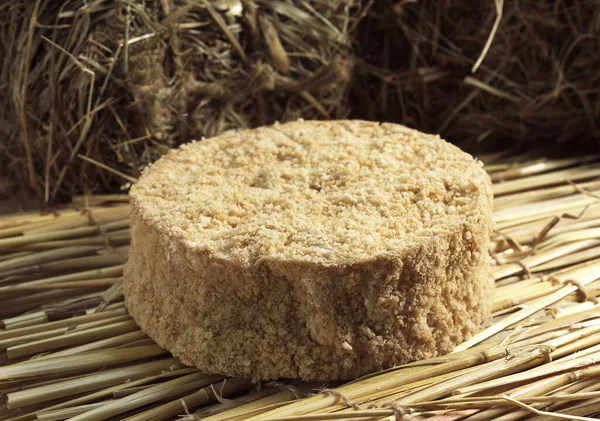 Camembert Con Calvados Queso Francés Hecho Con Leche Vaca Normandía — Foto de Stock