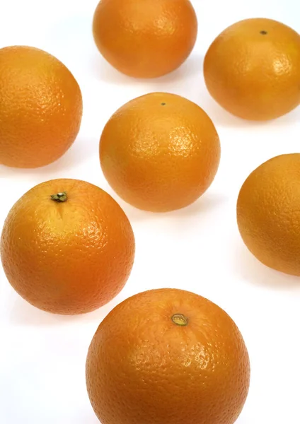 Naranja Cítricos Sinensis Frutas Contra Fondo Blanco — Foto de Stock