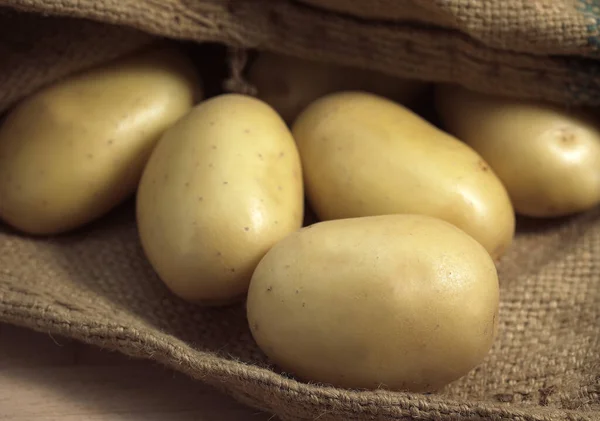 Mona Lisa Potato Solanum Tuberosum — Stock Photo, Image