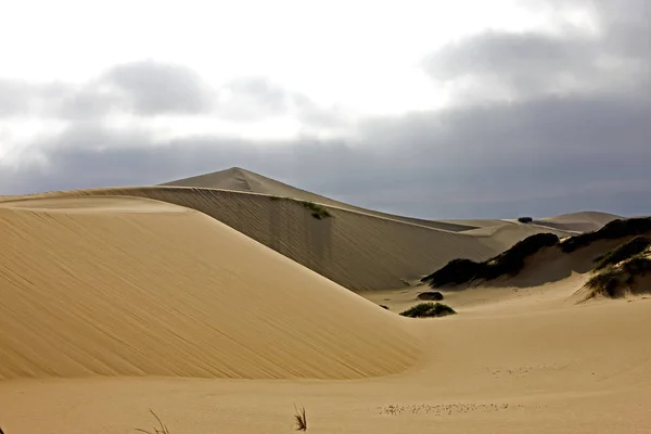 Dune Sabbia Vicino Namibia — Foto Stock