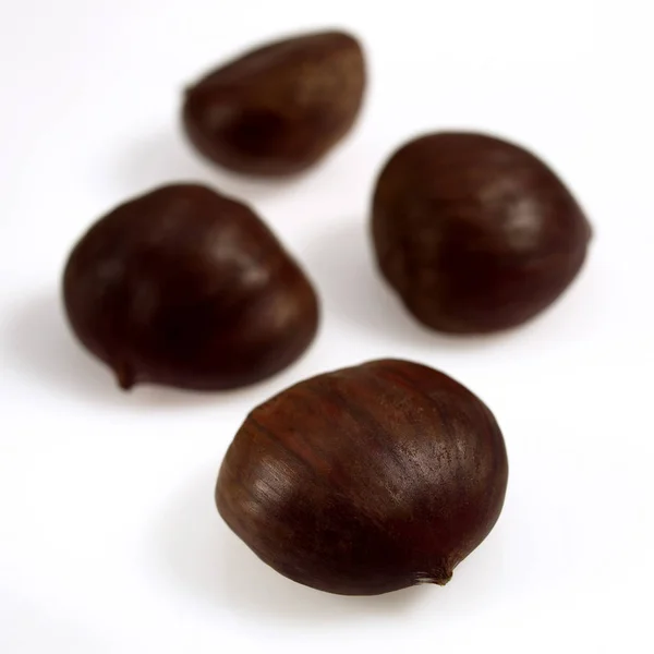 Chestnuts Castanea Sativa Fruits White Background — Stock Photo, Image