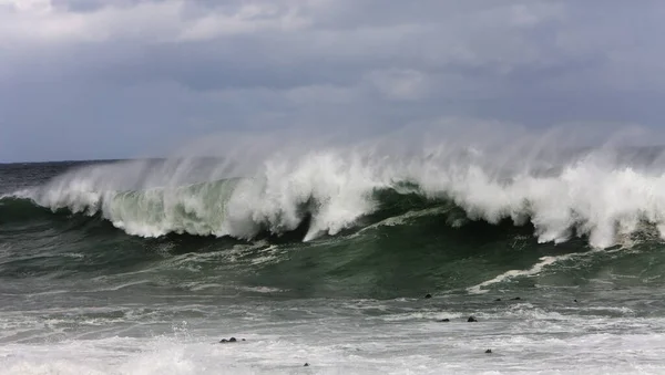 Vågor Kust Vid Hermanus Sydafrika — Stockfoto