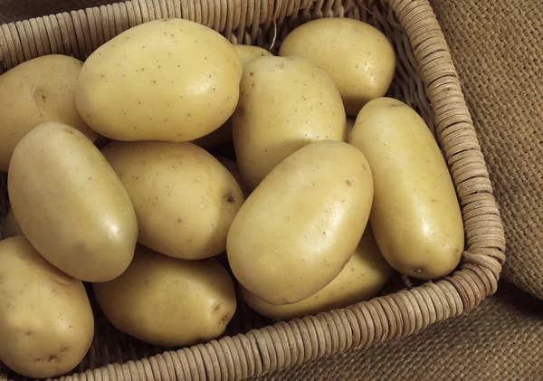 Mona Lisa Potato Solanum Tuberosum Vegetables Basket — Stock Photo, Image